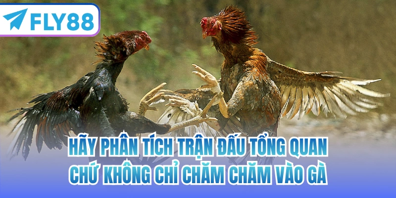 Hãy phân tích trận đấu tổng quan chứ không chỉ chăm chăm vào gà