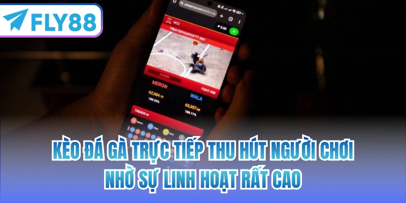 Kèo đá gà trực tiếp thu hút người chơi nhờ sự linh hoạt rất cao