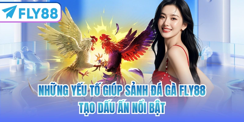 Những yếu tố giúp sảnh đá gà FLY88 tạo dấu ấn nổi bật